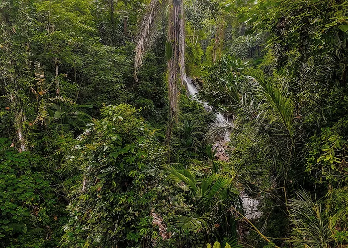  Sebali